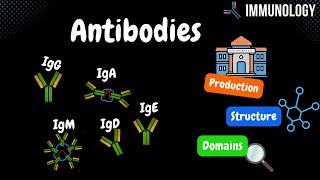 Antibodies Origin Components Domains IgG IgM IgA IgD IgE TABLE  Immunology [upl. by Son]