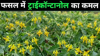 Tricontanol Plant growth regulators Miraculan pgr  ट्राईकॉन्टानोल टॉनिक के बारे में पूरी जानकारी [upl. by Turmel821]