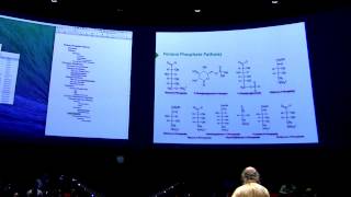 Pentose PhosphateGlycogen I  Kevin Aherns BB 450 Lecture 26 2016 [upl. by Glad165]