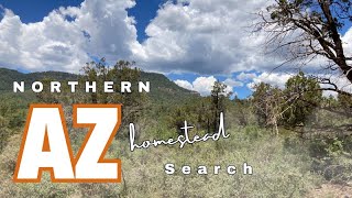 Searching for Homestead Land in Northern Arizona [upl. by Erroll211]