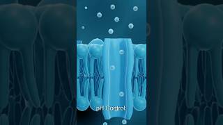 How to control dehydration and hydration attached with ions [upl. by Zsamot]