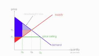 How to calculate changes in consumer and producer surplus with price and floor ceilings [upl. by Sinnaiy318]