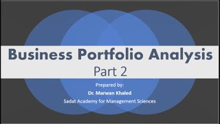 Business Portfolio Analysis 22 [upl. by Nylodnarb]