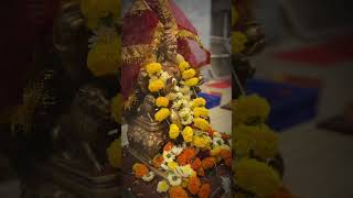 Chaturshringi Devi Aai🙏🛕song viralsohrts devi mata ajayatul gondhal mandir minivlog [upl. by Akerdal]