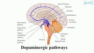 catecholamine English  Medical terminology for medical students [upl. by Merril]