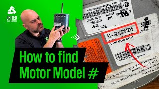 Where to find motor [upl. by Edy]