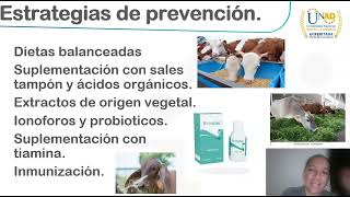 NUTRICION DE RUMIANTES ACIDOSIS SUBAGUDA [upl. by Grindlay2]