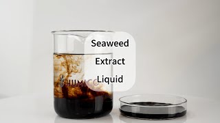 Humico Seaweed Extract Liquid Fertilizer  Unlock the Power of Nature 🌊 100 Water Solubility [upl. by Malek]