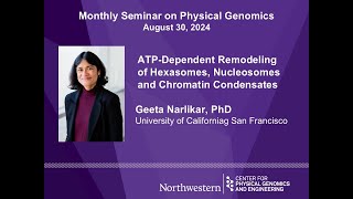 ATPDependent Remodeling of Hexasomes Nucleosomes and Chromatin Condensates  Geeta Narlikar [upl. by Lledner203]