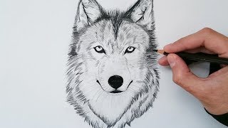 APRENDE cómo DIBUJAR un LOBO realista explicado PASO A PASO 🐺✅ [upl. by Dnob]