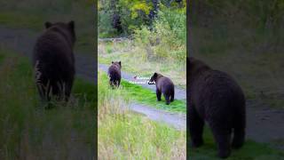 5 Natl Parks in 30 Seconds ALASKA VERSION [upl. by Navonod394]