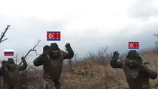 Ukrainian FPV drones brutally destroy North Korean and russian Soldiers [upl. by Eimme]