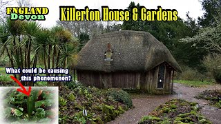 The History of Killerton Estate with An Interesting Phenomenon In The Garden Devon  England [upl. by Soph612]