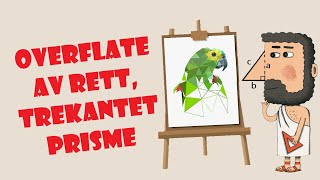 30🔵 Overflate  Rett trekantet prisme [upl. by Losyram]