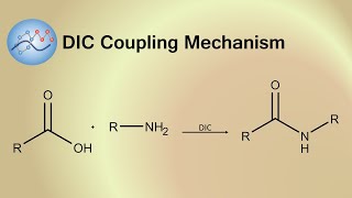 DIC Coupling Mechanism  Organic Chemistry [upl. by Haduhey248]