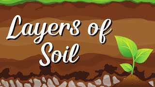 Layers of Soil  Science 4 [upl. by Elmina]