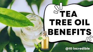 Tea Tree Oil Benefits 10 Benefits [upl. by Ahsikram]