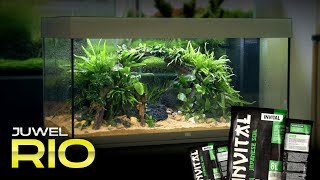 Setting up a Juwel Rio aquarium with INVITAL Japanese soil [upl. by Analak]