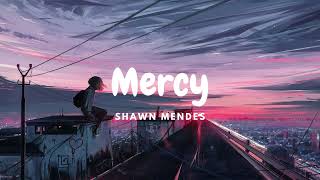 Shawn Mendes  Mercy Lyrics [upl. by Nelac671]