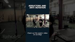 Adductors and AntiRotation [upl. by Ynnavoj]