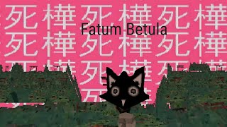 I Tried Fatum Betula and Got Lost in Its World [upl. by Tterb]