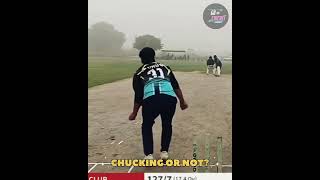 Chucking is an illegal bowling action 🤾🏏 cricket bgt rishabpant saeedajmal chuck spin [upl. by Boesch]