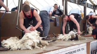 Lochearnhead Shears 2014 Senior Final  Watch in HD [upl. by Haidebez]