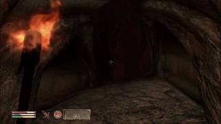 Oblivion Walkthrough  Allies for Bruma  Chorrol  Back to the Count  WikiGameGuides [upl. by Allenad559]