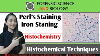 Histochemistry  Perls Reaction of Histochemical Method  Iron level Detection in Tissues [upl. by Harvie505]