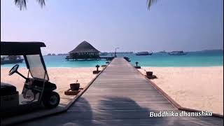 Angsana Velavaru Resort in Maldives travel resort hotels [upl. by Annaigroeg]