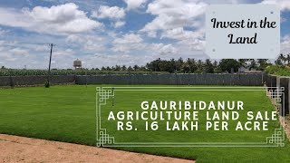 16 Acres Agriculture Land Sale Gauribidanur North Bangalore ☎️ 91 99001 42491 [upl. by Marasco399]