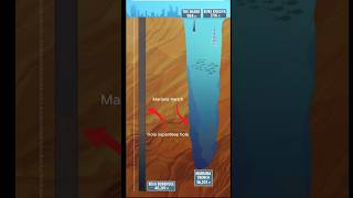 The Deepest Hole on Earth What Did We Discoverquot history facts shorts short mystery worldwar2 [upl. by Del]