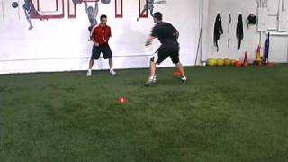 Speed and Agility Reaction Drill [upl. by Ardnosak]