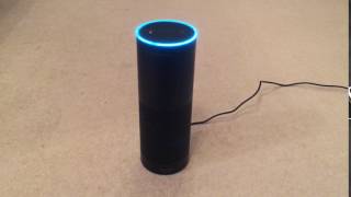 BadgerHome  Ask Alexa what is the speed of your internet  HomeAssistant Amazon Echo [upl. by Yelrebma]