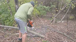 using my NS 846 by NeoTec chainsaw [upl. by Lexine]