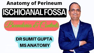 ISCHIOANAL FOSSA  Anatomy [upl. by Carlyn]