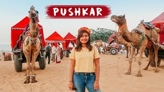 EXPLORING PUSHKAR  Pushkar Camel Fair 🐪  Things to do in Pushkar Rajasthan  Kritika Goel [upl. by Schmitt442]