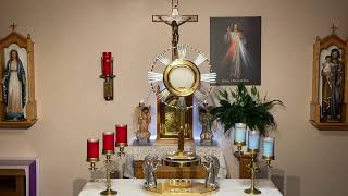 LIVE Eucharistic Adoration  Sisters of Divine Mercy [upl. by Gnoh960]