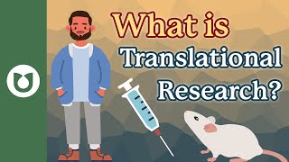 What is translational research [upl. by Gnidleif]