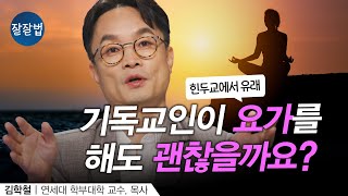 요가에 깊이 들어가면 영적인 영향을 받을까요ㅣ연세대 김학철 교수ㅣ잘잘법 216회 [upl. by Durning984]