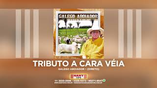 Galego Aboiador  Tributo a Cara Véia [upl. by Naiviv]