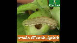 LARVEX Insecticide Complete Caterpillar Control for All Crops  Khethari [upl. by Natsirk]