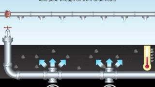 Bioheap Leaching Process [upl. by Ruthie]