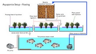 The Best DIY Aquaponics System Designs [upl. by Eanehs]