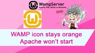 WAMP Icon stays orange Apache not starting [upl. by Leval573]