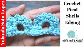 Learn to crochet Picot Shells Edge [upl. by Iruam]