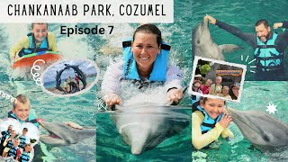 Chankanaab Adventure Park  Cozumel  Dolphin Swim Review amp Sea Lion Show [upl. by Peednam616]