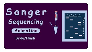 Sanger Sequencing  DNA sequencing  Dideoxy method of DNA sequencing  Animation [upl. by Nonna]