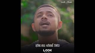 Asai Pawasanna ආසයි පවසන්න  Dimanka Wellalage  SGMTunes [upl. by Lienet6]