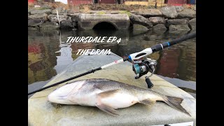 Thursdale Ep 4 The Drain  Bream Fishing Melbourne [upl. by Ahseiuqal]